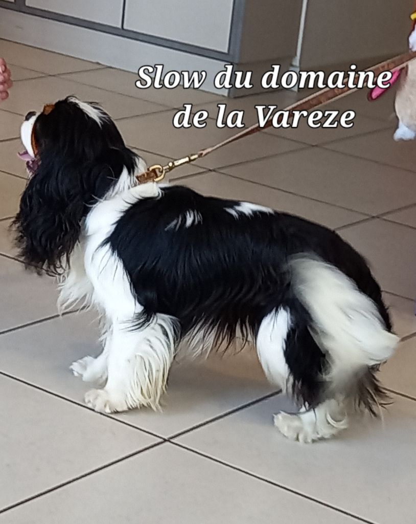 Slow du domaine de la Vareze