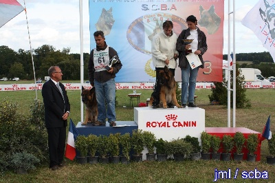 du domaine de la Vareze - BACCHUS CHAMPION POILS LONGS